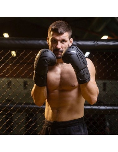 10oz Boxing Gloves Raptor Origin Series