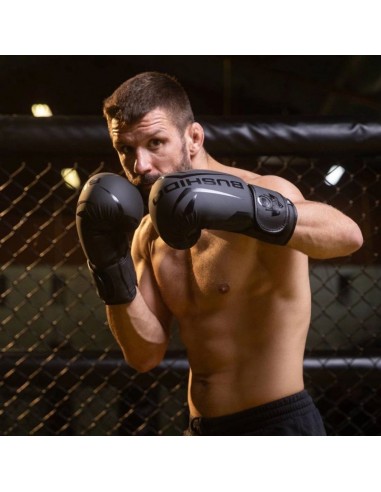 10oz Boxing Gloves Raptor Origin Series