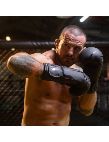 10oz Boxing Gloves Raptor Origin Series