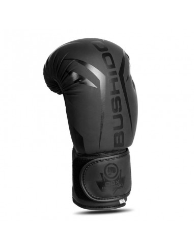 10oz Boxing Gloves Raptor Origin Series