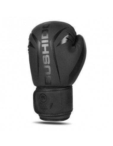 10oz Boxing Gloves Raptor Origin Series