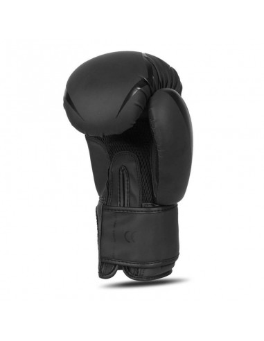 10oz Boxing Gloves Raptor Origin Series