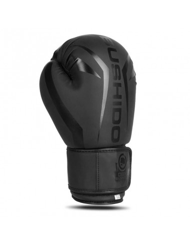 10oz Boxing Gloves Raptor Origin Series