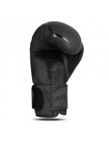 10oz Boxing Gloves Raptor Origin Series