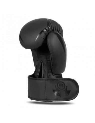 10oz Boxing Gloves Raptor Origin Series