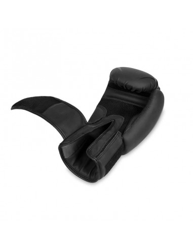 10oz Boxing Gloves Raptor Origin Series