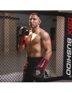 12oz Boxing Gloves Phantom Red Valor Series 2