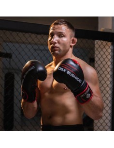 14oz Boxing Gloves Ninja... 2