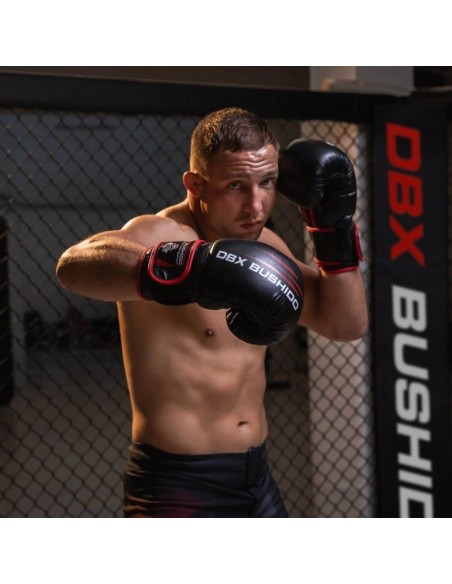 14oz Boxing Gloves Ninja Legacy Series