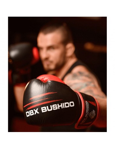 14oz Boxing Gloves Ninja Legacy Series