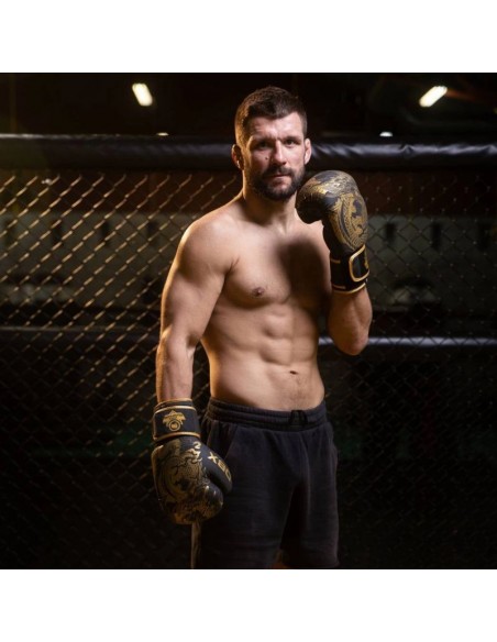 8oz Boxing Gloves Gold Dragon Valor Series