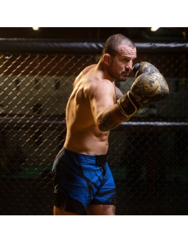 8oz Boxing Gloves Gold Dragon Valor Series