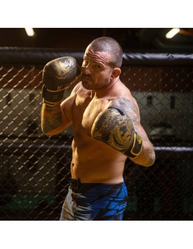 8oz Boxing Gloves Gold Dragon Valor Series