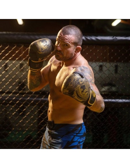 8oz Boxing Gloves Gold Dragon Valor Series