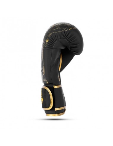 8oz Boxing Gloves Gold Dragon Valor Series