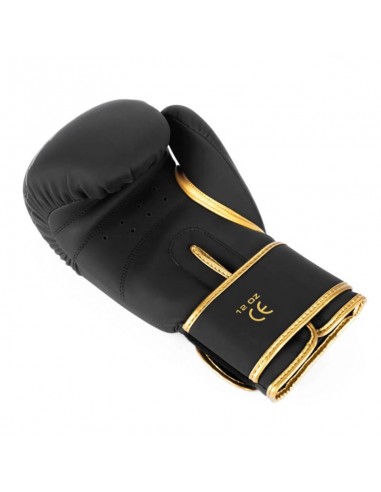 8oz Boxing Gloves Gold Dragon Valor Series