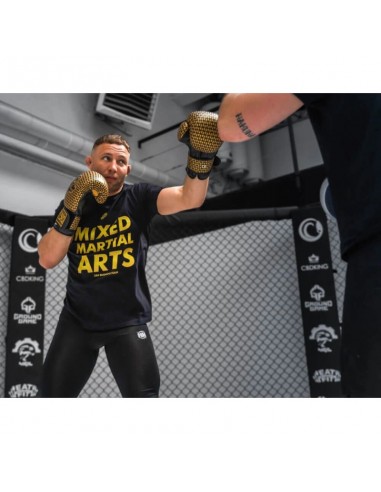 B2v23 Sparring Boxing Gloves 10 oz