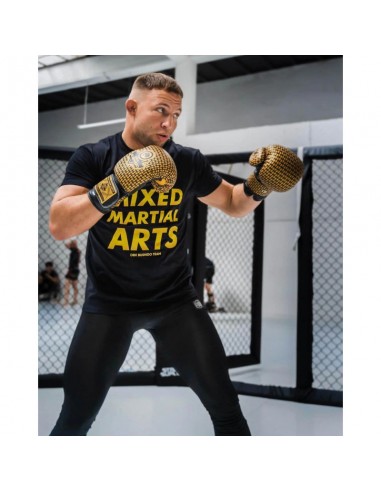 B2v23 Sparring Boxing Gloves 10 oz