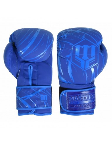 MASTERS RPUCOLORCOLOR boxing gloves