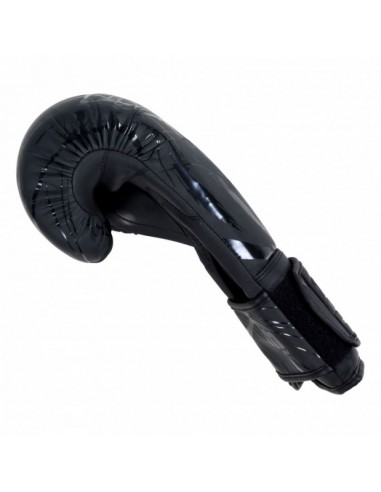 MASTERS RPUCOLORCOLOR boxing gloves