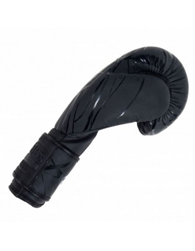 MASTERS RPUCOLORCOLOR boxing gloves