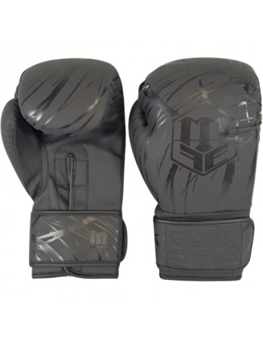 MASTERS RPUCOLORCOLOR boxing gloves