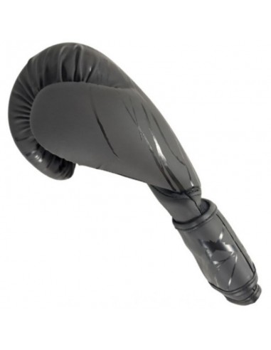 MASTERS RPUCOLORCOLOR boxing gloves