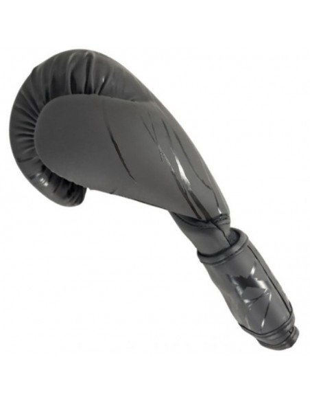 MASTERS RPUCOLORCOLOR boxing gloves