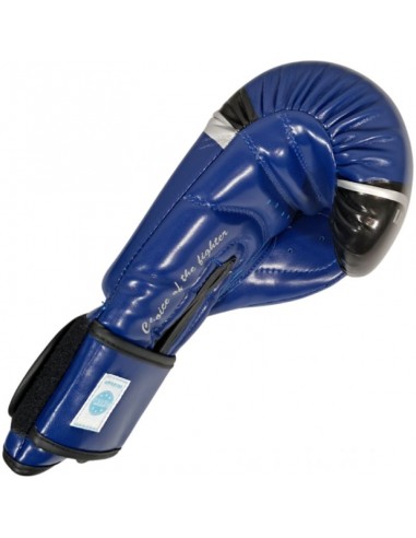 MASTERS RPUFT Boxing Gloves WAKO...