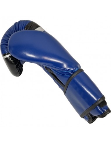 MASTERS RPUFT Boxing Gloves WAKO...