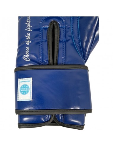 MASTERS RPUFT Boxing Gloves WAKO...