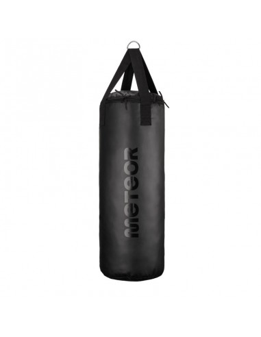 Meteor 12kg Punching Bag and 6oz Boxing Gloves Set