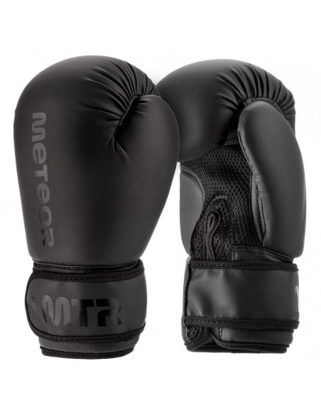 Meteor 12kg Punching Bag and 6oz Boxing Gloves Set