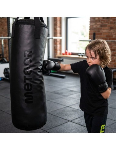 Meteor 12kg Punching Bag and 6oz Boxing Gloves Set