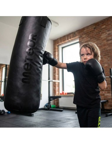 Meteor 12kg Punching Bag and 6oz Boxing Gloves Set