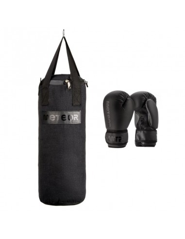 Meteor 6kg Punching Bag and 6oz Boxing Gloves Set