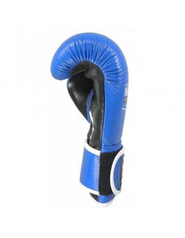 RBT301W Boxing Gloves 10 oz WAKO APPROVED