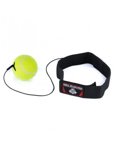 Reflex boxing ball for the head...