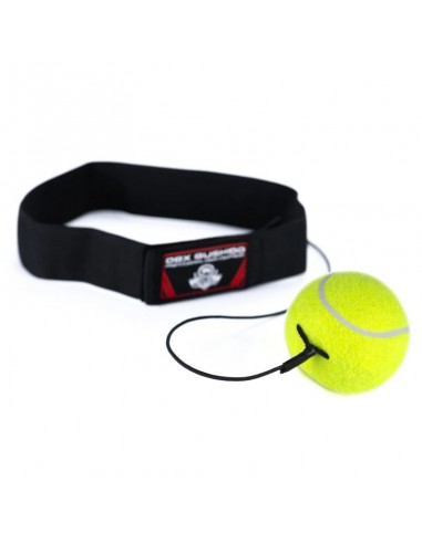 Reflex boxing ball for the head...
