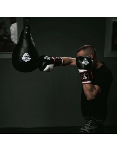 TECHNICAL BOXING PEAR 5 KG SK5