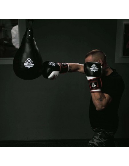 TECHNICAL BOXING PEAR 5 KG SK5