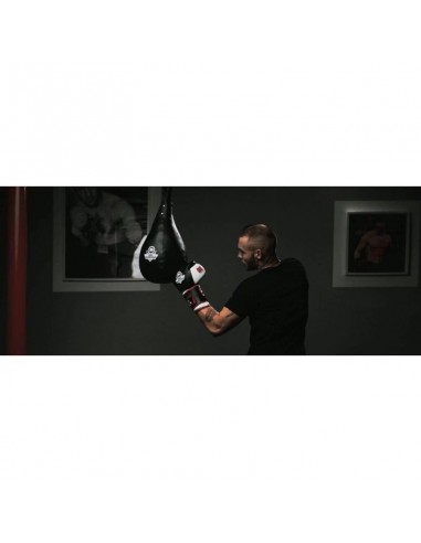 TECHNICAL BOXING PEAR 5 KG SK5