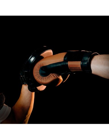 SOVEREIGN MultiLayer Leather Boxing Gloves Legacy Series DBX Bushido