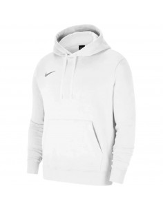 Nike Team Park 20 Hoodie CW6894101