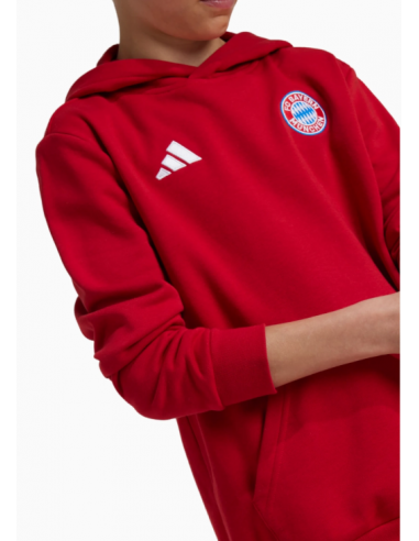 Adidas Bayern Munich Jr IT4134 sweatshirt
