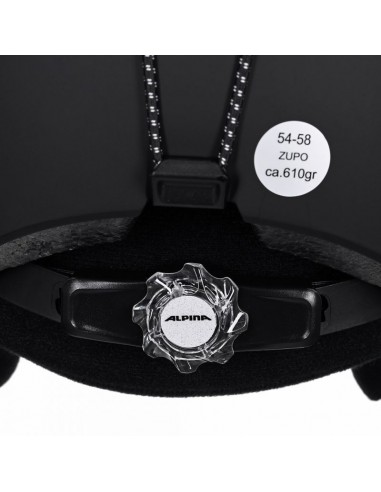 ALPINA ZUPO BLACK MATT 5458 ski helmet