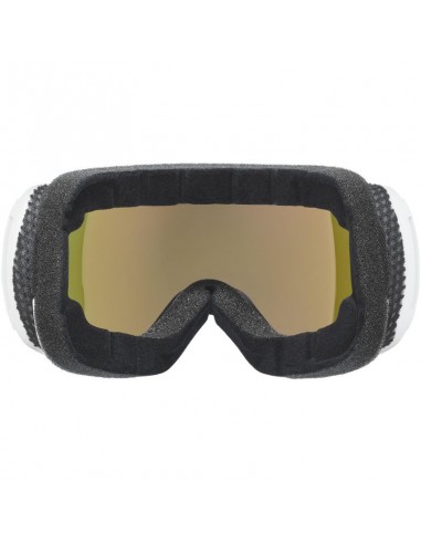 Uvex Downhill 2100 CV women'smen's ski goggles snowboard sports black 5503981030