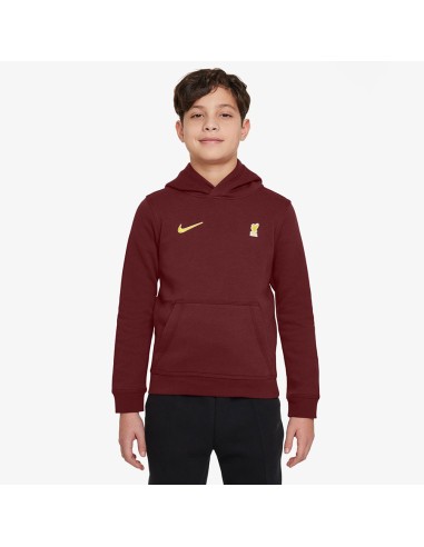Nike Liverpool FC NSW Club PO Hoodie Jr FZ4149619
