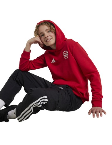 Adidas Arsenal London Jr IT4091 sweatshirt