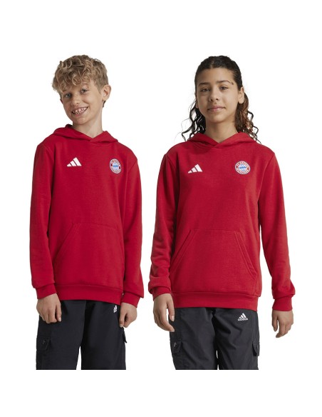 Adidas Bayern Munich Jr IT4134 sweatshirt